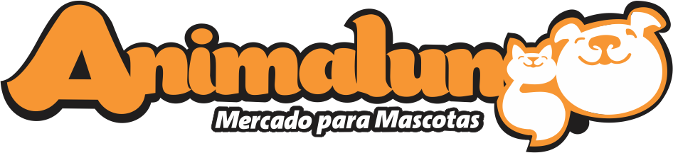 WEB 6
